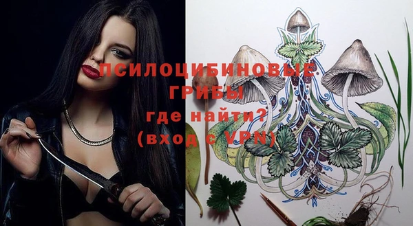 индика Куйбышев