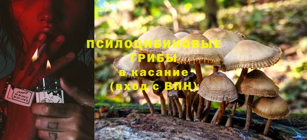 индика Куйбышев