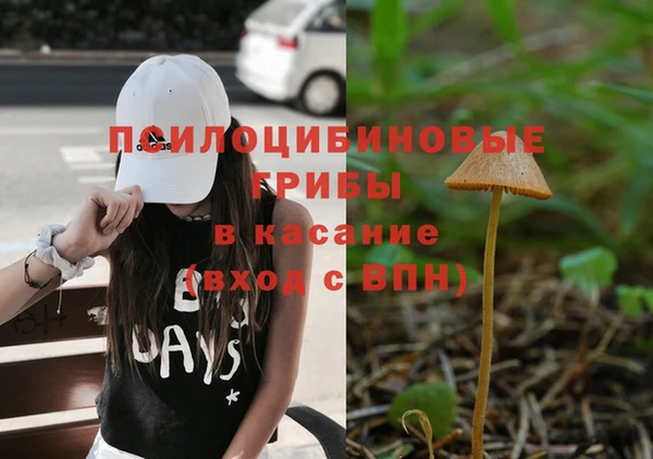 индика Куйбышев