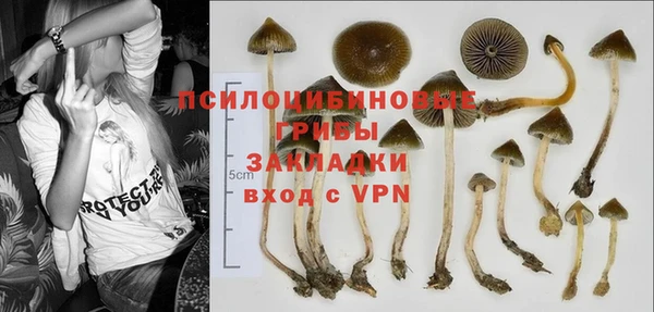 таблы Липки