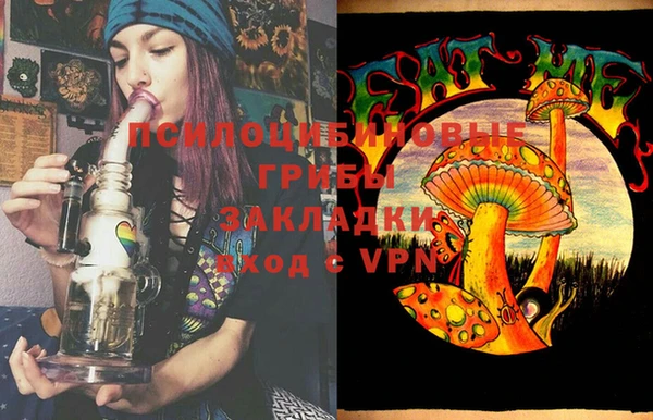 индика Куйбышев