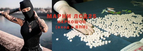 индика Куйбышев