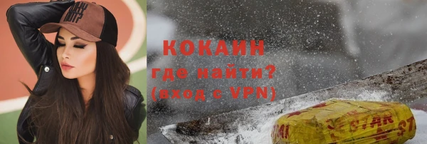 индика Куйбышев