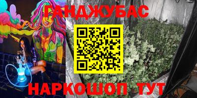 индика Заводоуковск