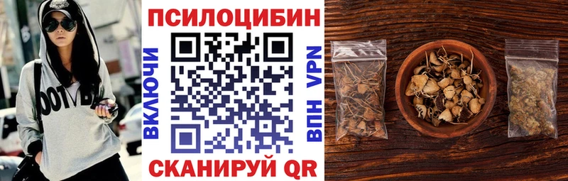 купить закладку  Минеральные Воды  Галлюциногенные грибы Psilocybine cubensis 