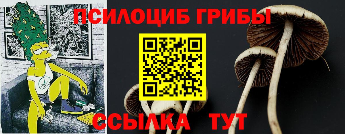Галлюциногенные грибы мухоморы Минеральные Воды